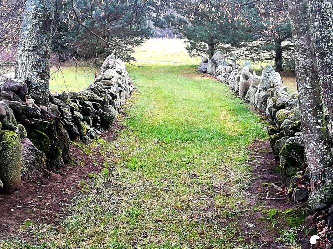 Kelias, papuoštas laukuose surinktais akmenimis